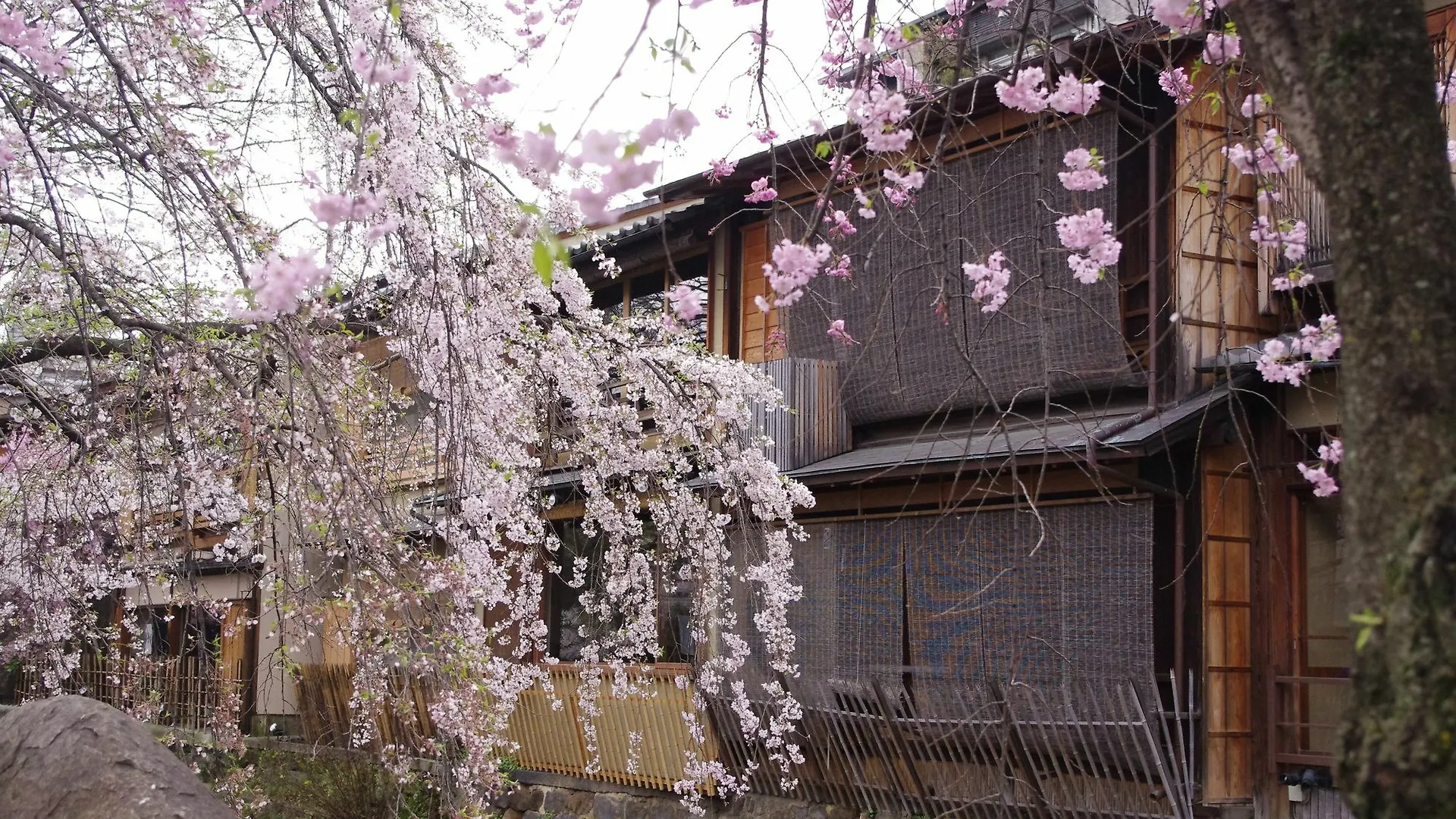 Resi Stay Yasaka No To Kyoto Japan