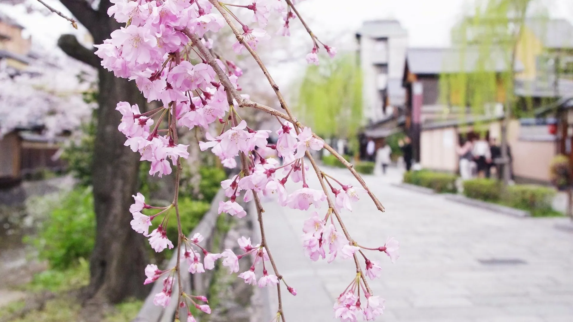 Holiday home Resi Stay Yasaka No To Kyoto Japan